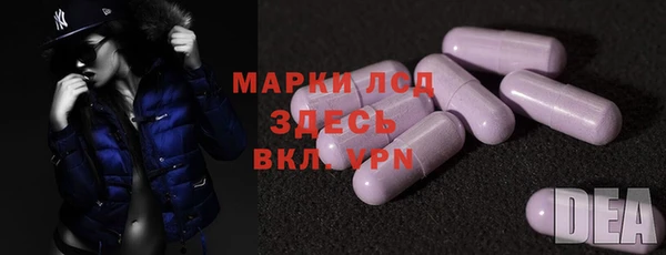 индика Покачи