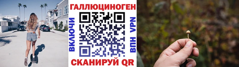 Псилоцибиновые грибы прущие грибы  Сусуман 